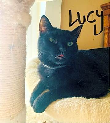 Photo of Lucy #image