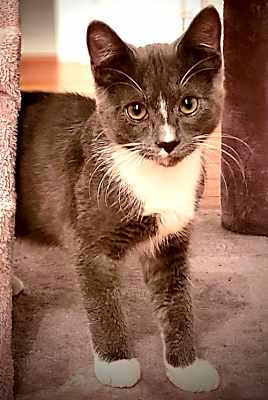 Photo of Asher #image