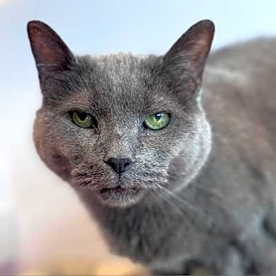Photo of Abbie #image