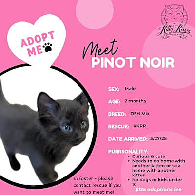Photo of Pinot Noir #image