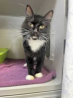 Photo of Minnie #image