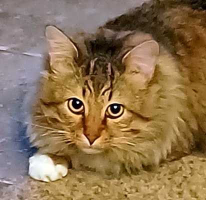 Photo of Oliver #image
