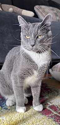 Photo of Joe - AH #image