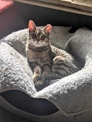 Photo of Annie #image