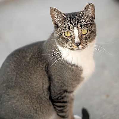 Photo of Palmer #image
