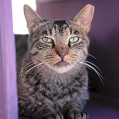 Photo of Bucky #image