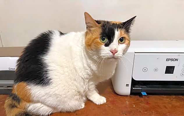 Photo of Carly #image