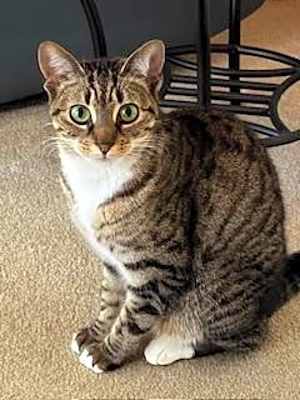 Photo of Kiri #image