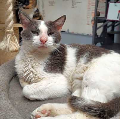 Photo of Jake #image