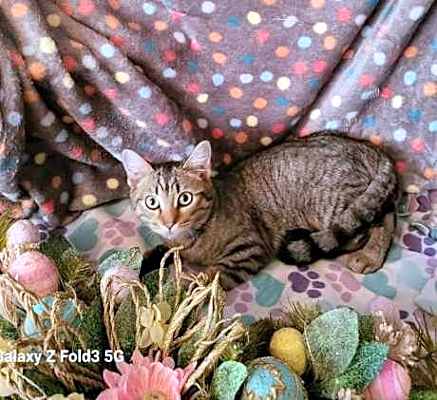 Photo of Maya #image