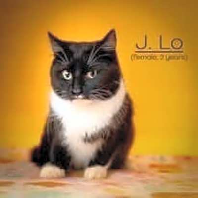 Photo of J Lo #image