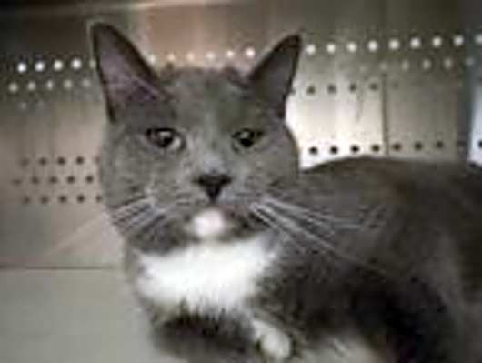 Photo of Millie #image