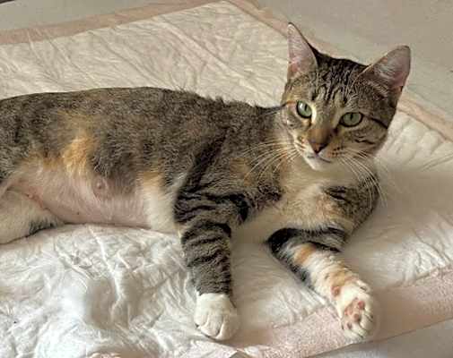 Photo of Momma Cleo #image