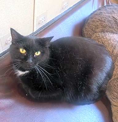 Photo of Porch Baby #image