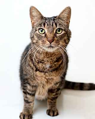 Photo of Smithers #image
