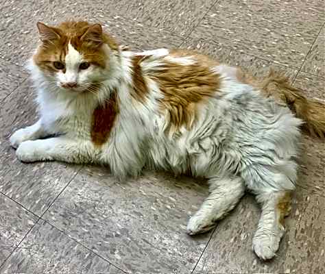 Photo of Moocher #image