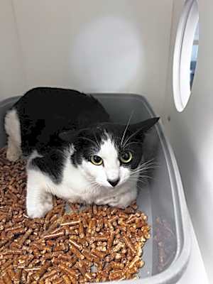 Photo of Gumbo #image