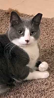 Photo of Vinny #image
