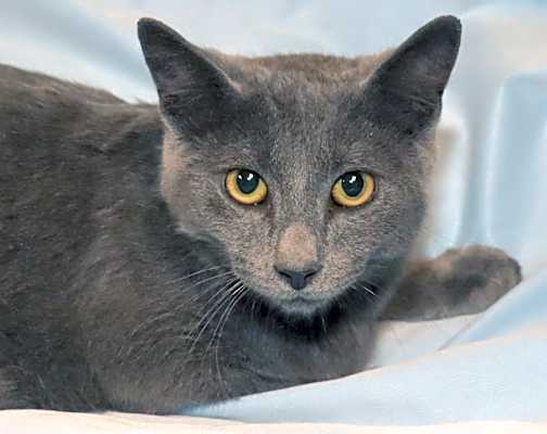 Photo of Rudy #image