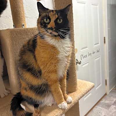 Photo of Charlotte #image