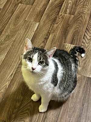 Photo of Penelope #image