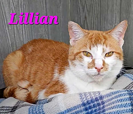 Photo of Lillian #image