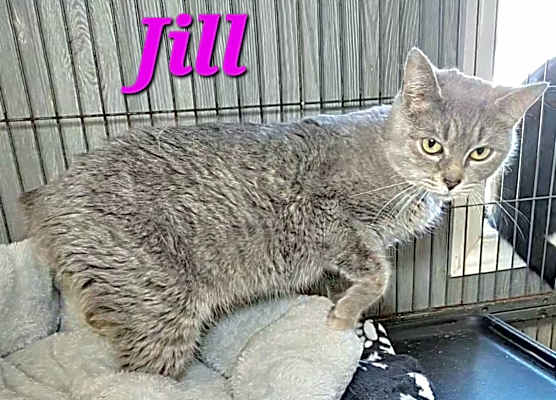 Photo of Jill #image
