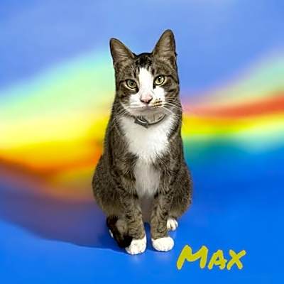 Photo of Max #image
