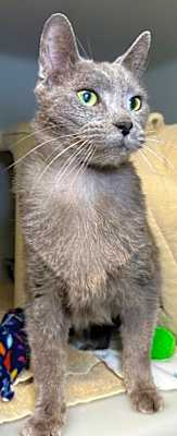 Photo of Albus #image