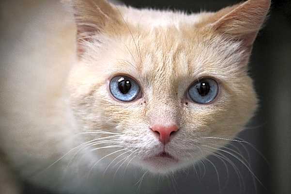 Photo of Bernard #image