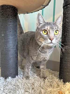 Photo of Britches #image