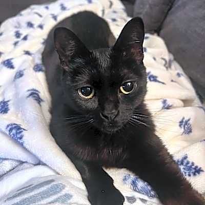 Photo of Mirabel #image