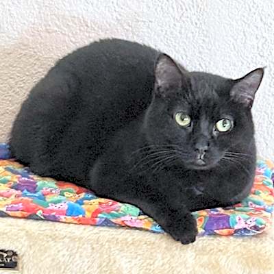 Photo of Lindy #image