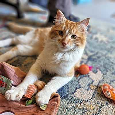 Photo of Wally #image