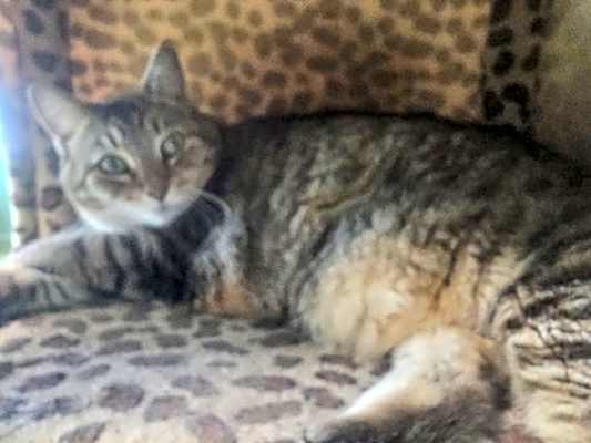 Photo of Gabby #image