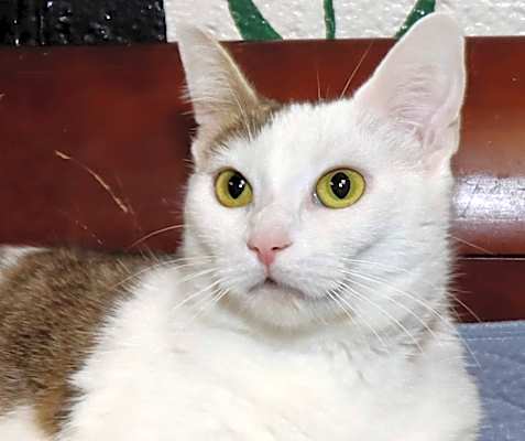 Photo of Wilma #image