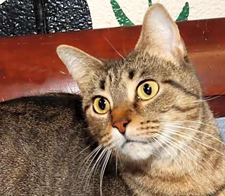 Photo of Lucy #image