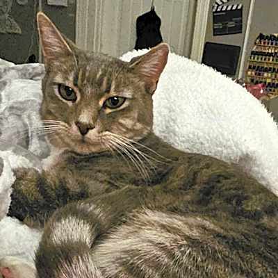 Photo of Jax #image