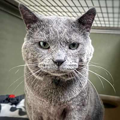 Photo of Nimbus #image