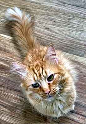 Photo of Riley #image