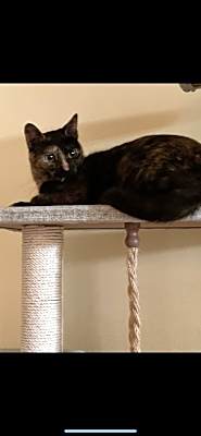 Photo of Beverly (Bev) #image