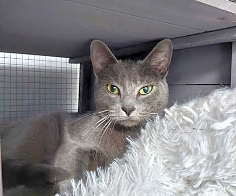 Photo of Grayson #image