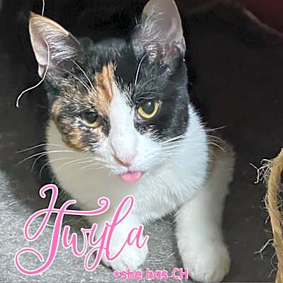 Photo of Twyla #image