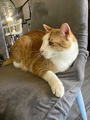 Photo of Chico #image