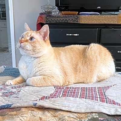 Photo of Ember #image
