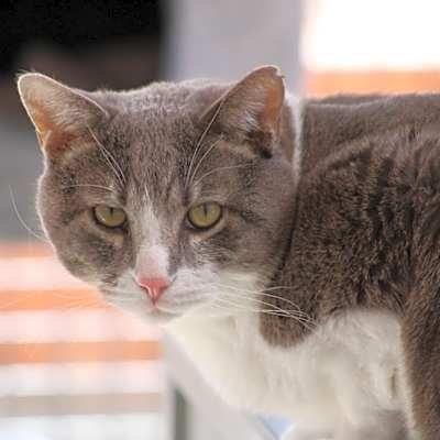 Photo of Kenneth #image