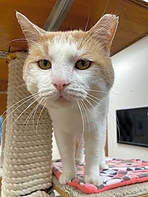 Photo of Gary #image