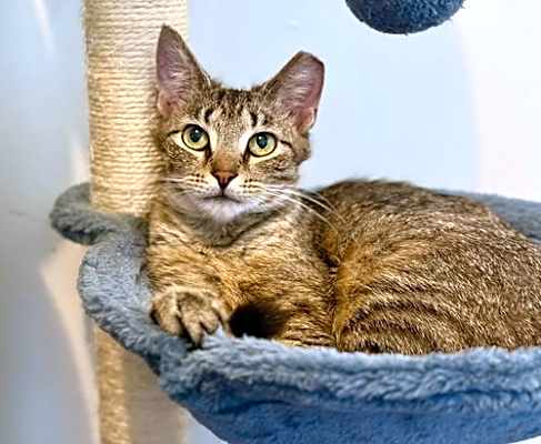 Photo of Franki #image