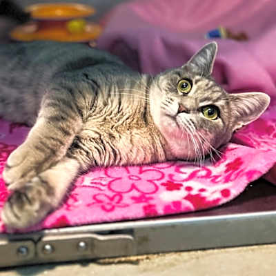 Photo of Penelope #image