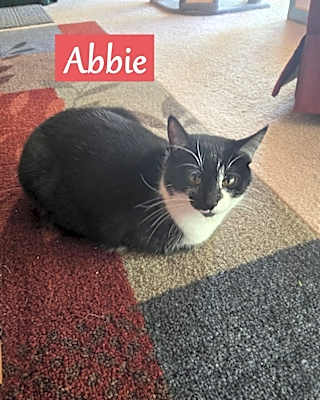 Photo of Abbie #image